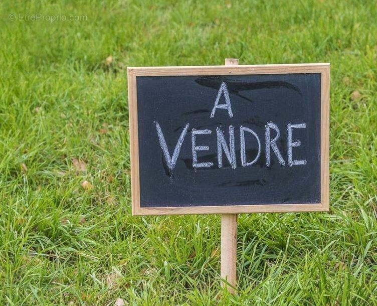 Terrain à LA MOTHE-ACHARD