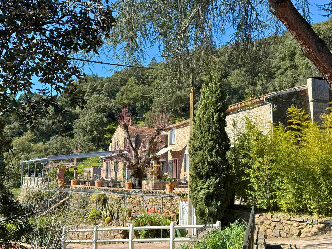 Commerce à SAINT-TROPEZ
