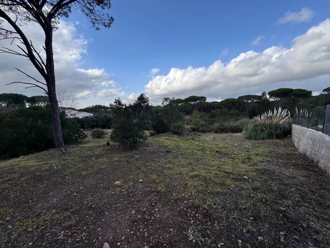Terrain à FREJUS