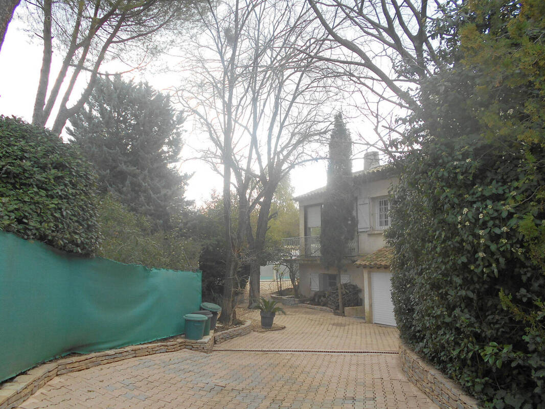 Photo 1 - Maison à MONTPELLIER