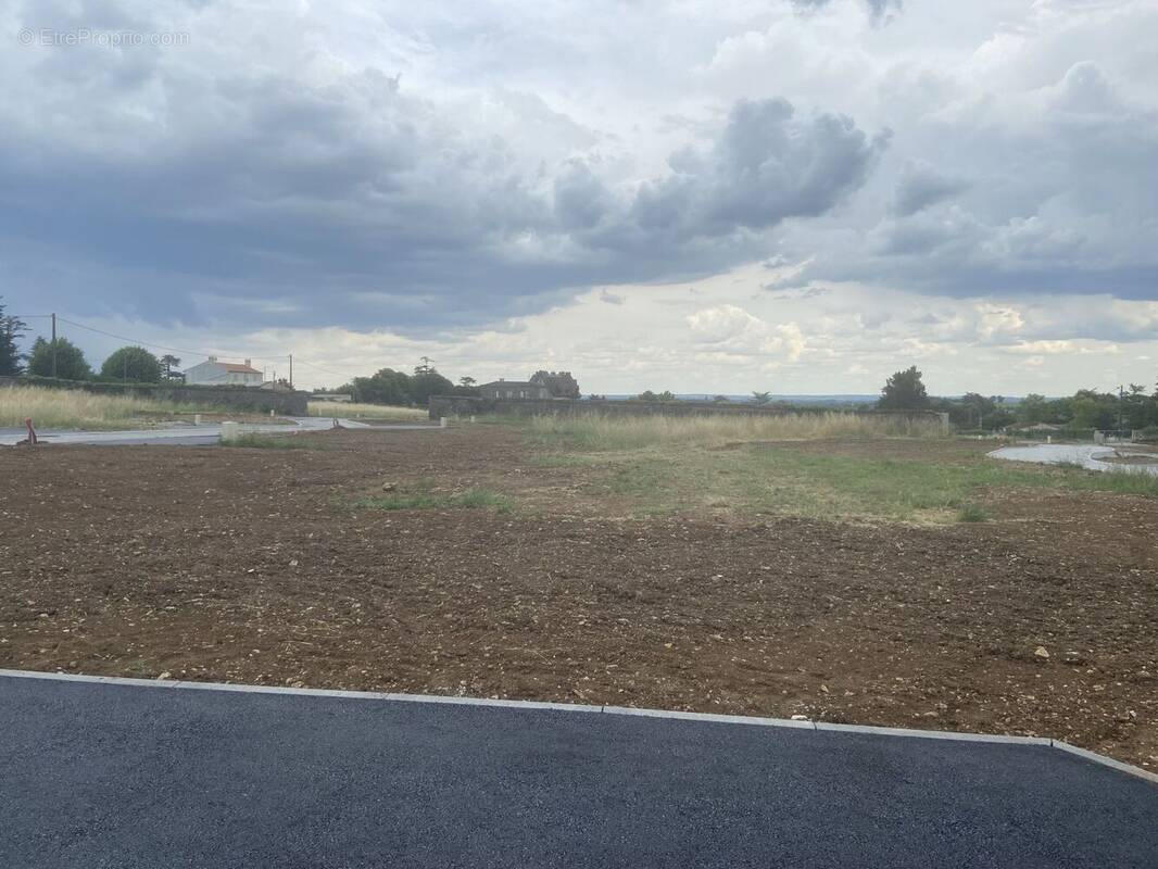 Terrain à COGNAC