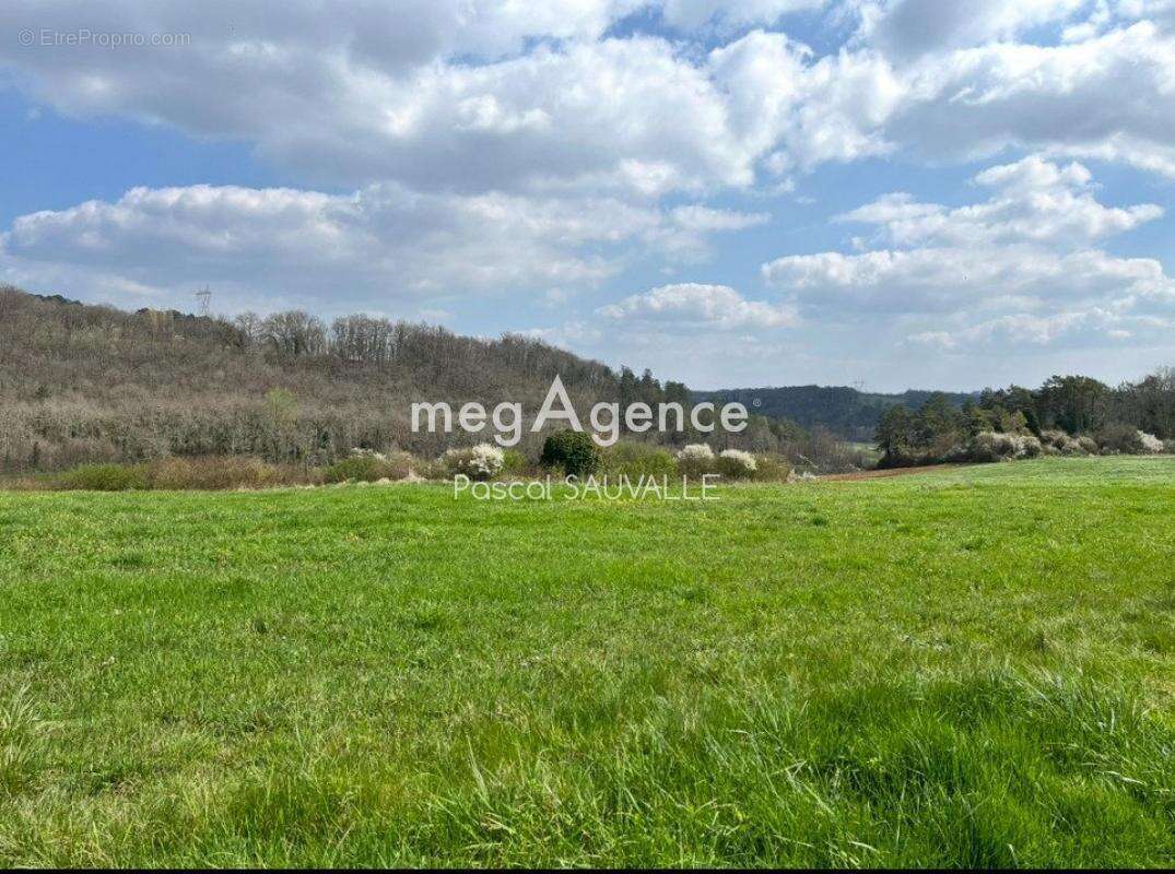 Terrain à MONTAGNAC-LA-CREMPSE