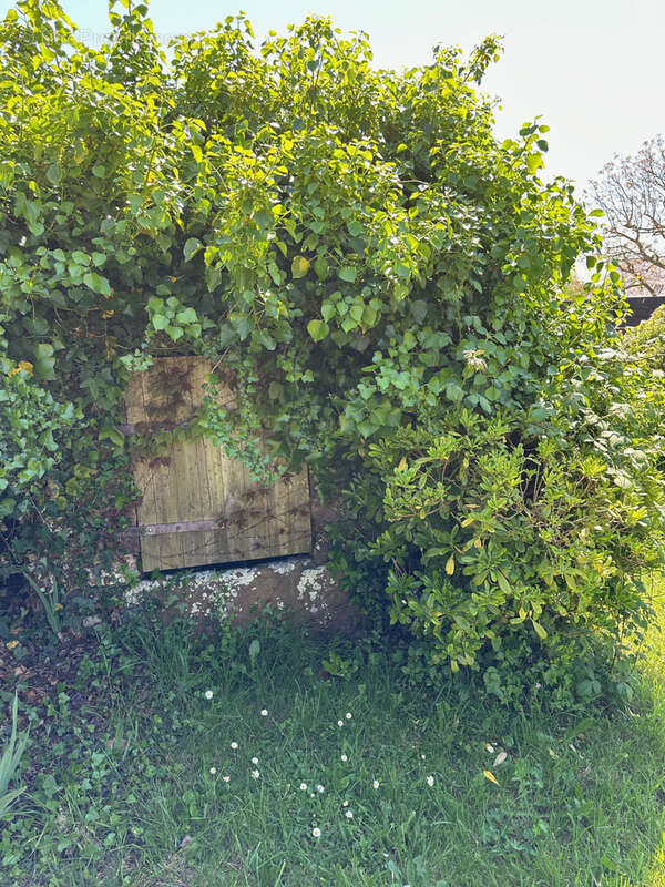 Maison à FREHEL