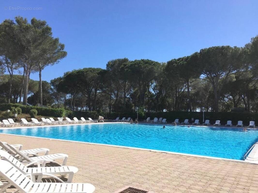 Photo 1 - Appartement à SAINT-RAPHAEL