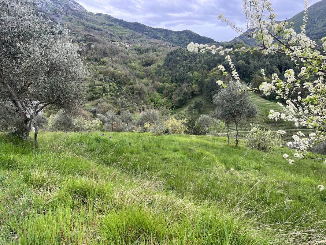 Terrain à SOSPEL