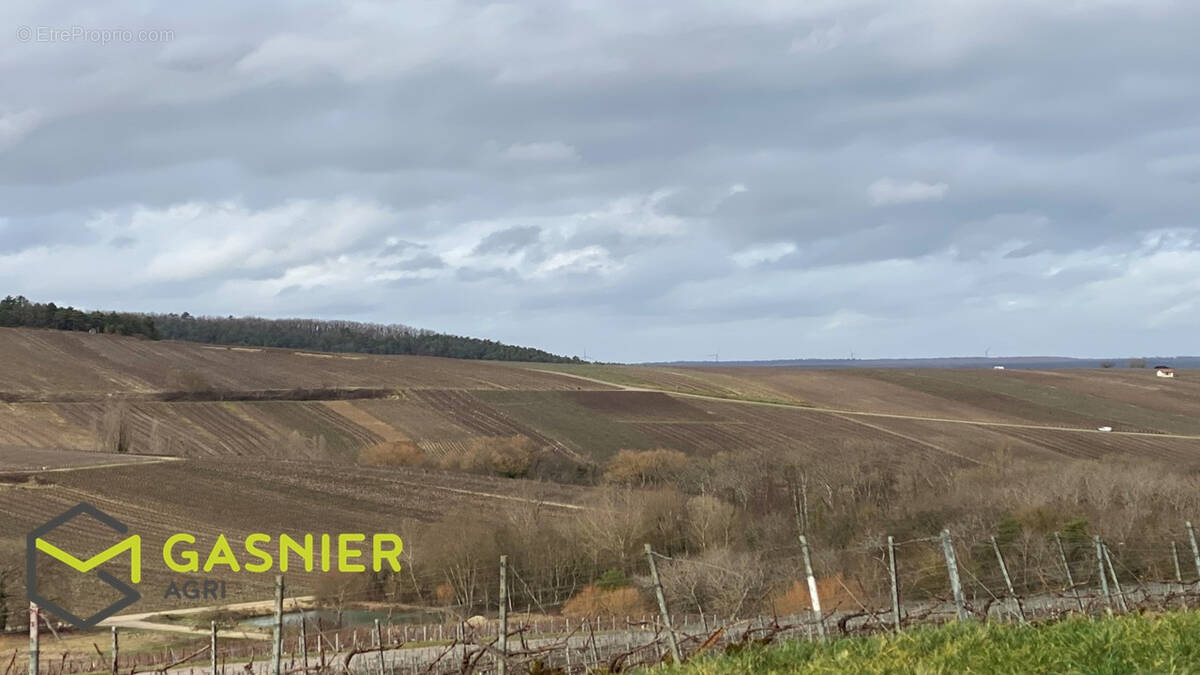 Terrain à EPERNAY