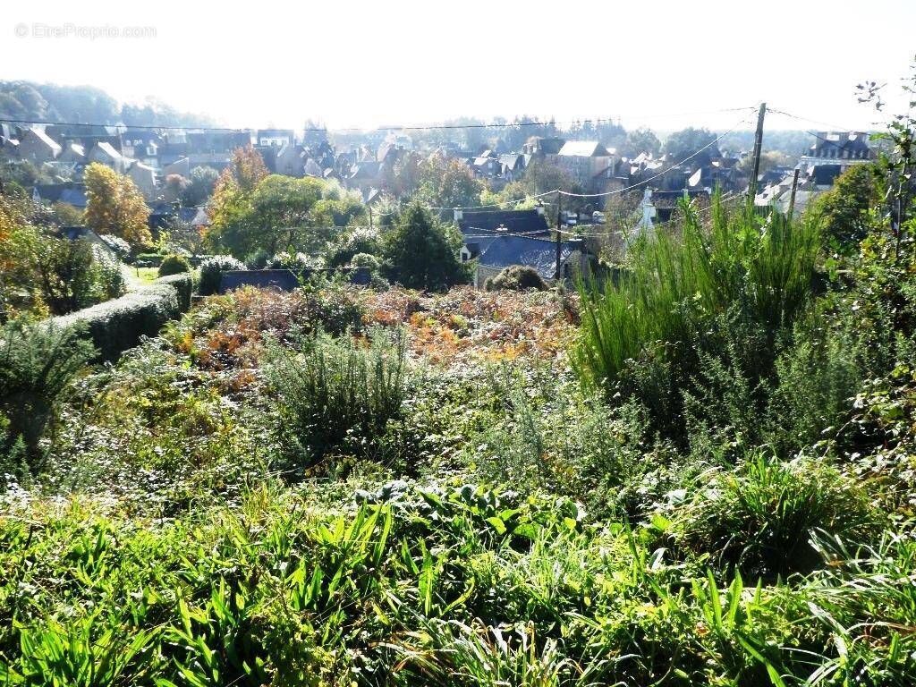 Terrain à GUEMENE-SUR-SCORFF