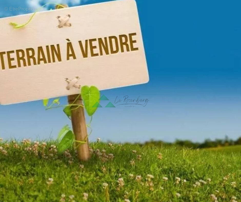 Terrain à LEYMEN