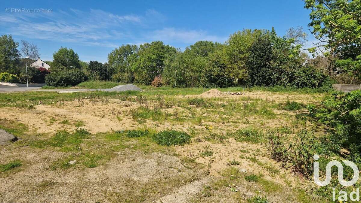 Photo 3 - Terrain à THOUARE-SUR-LOIRE