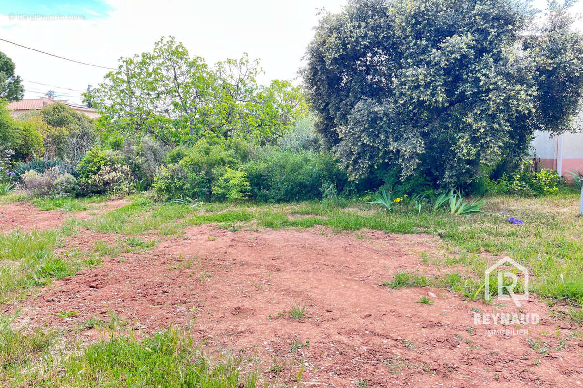 Terrain à CANET