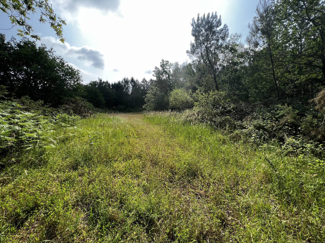 Terrain à MIOS