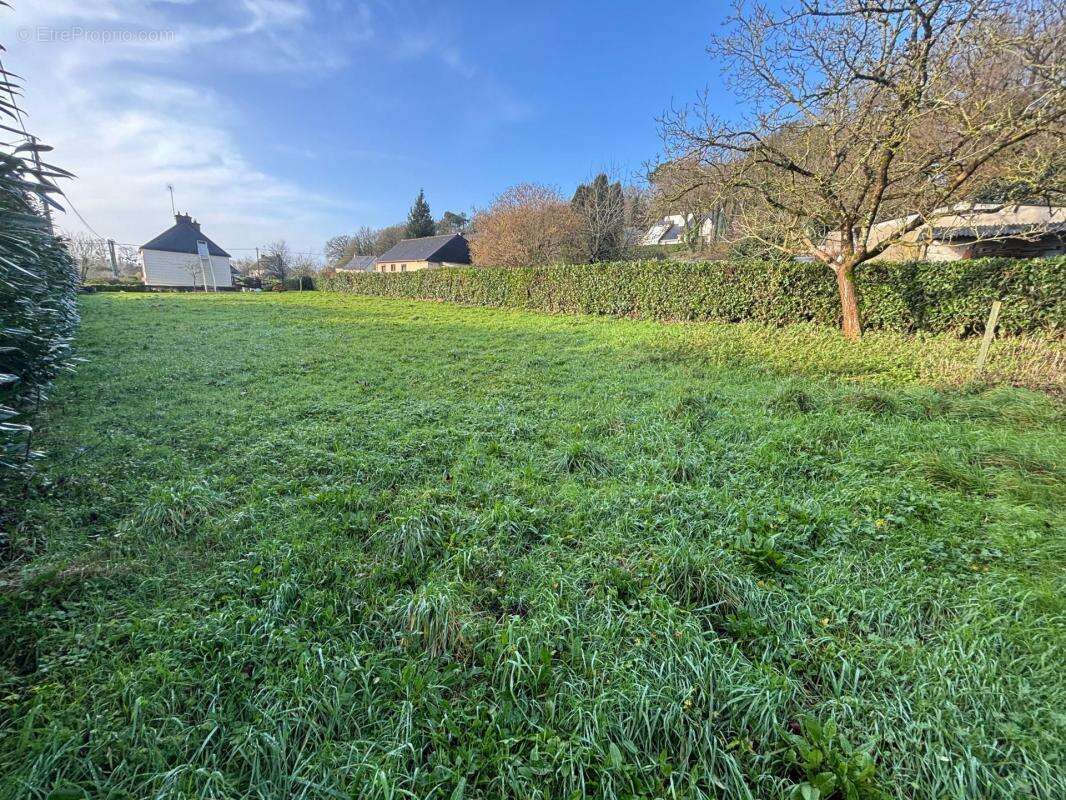 Terrain à REDON