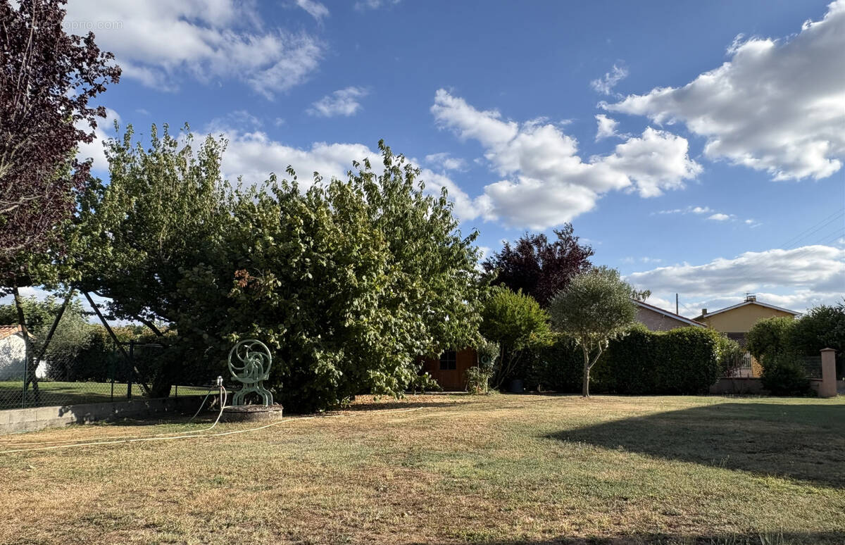 Terrain à FROUZINS