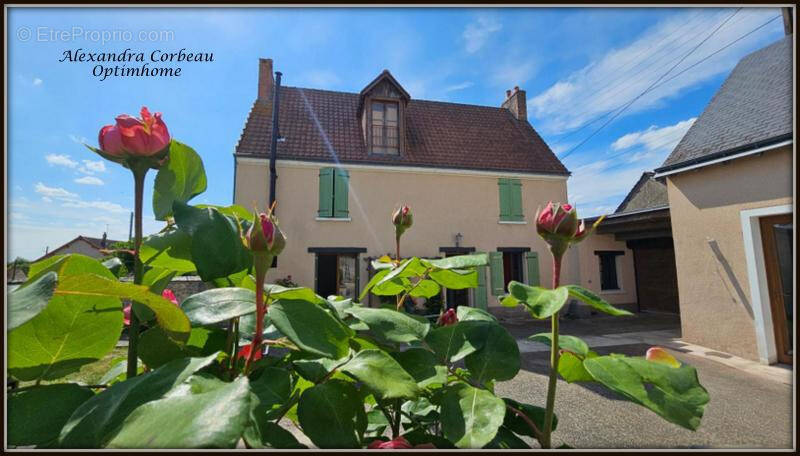 Maison à MAYET
