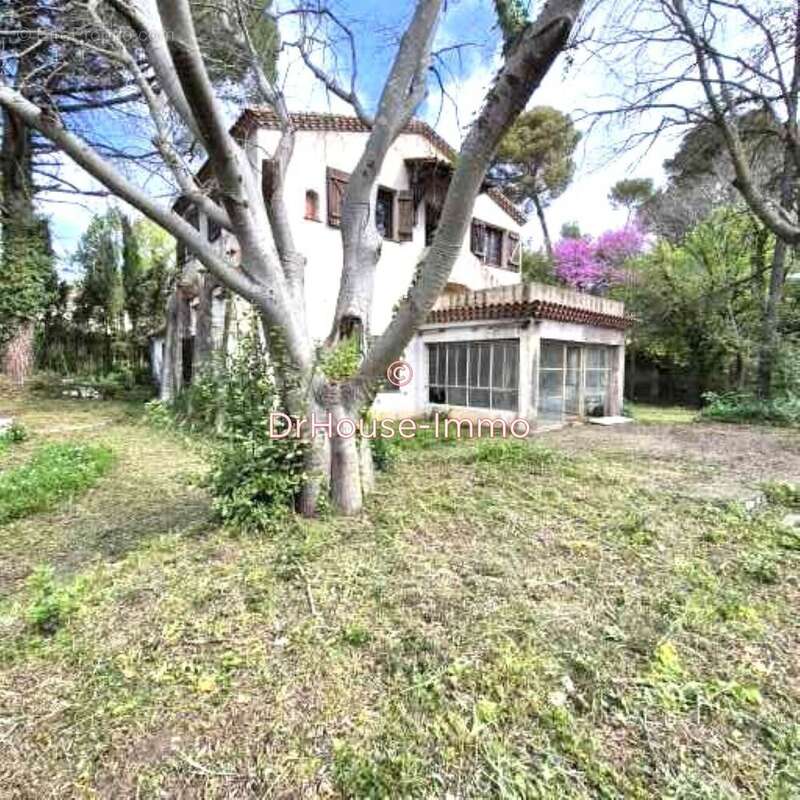 Maison à MONTPELLIER