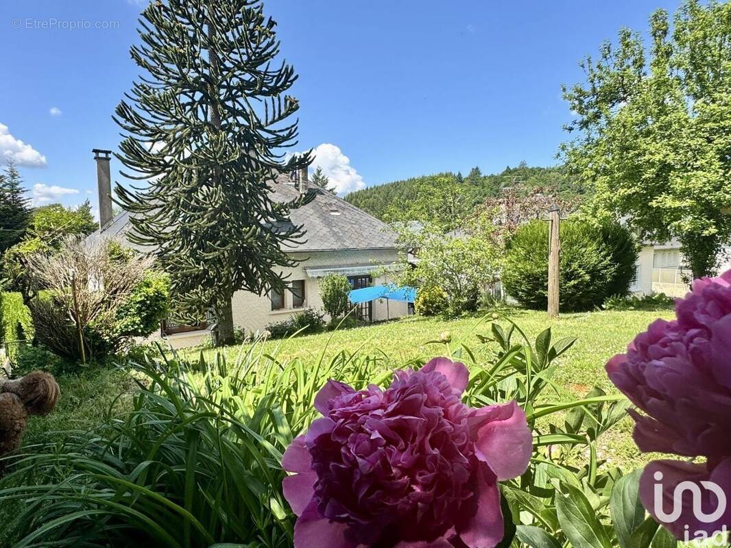 Photo 1 - Maison à CORREZE