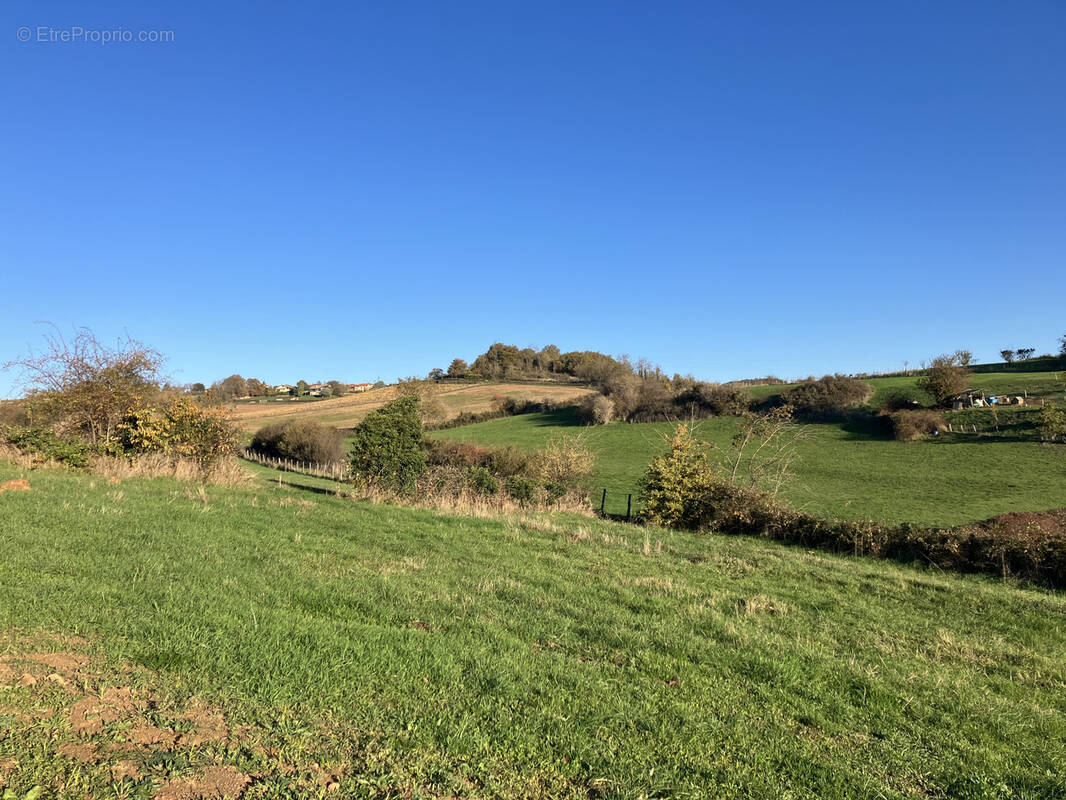 Terrain à LOZANNE