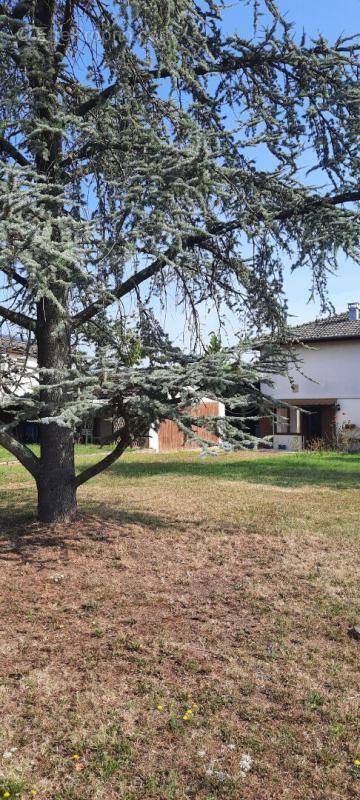 Maison à LANCIE