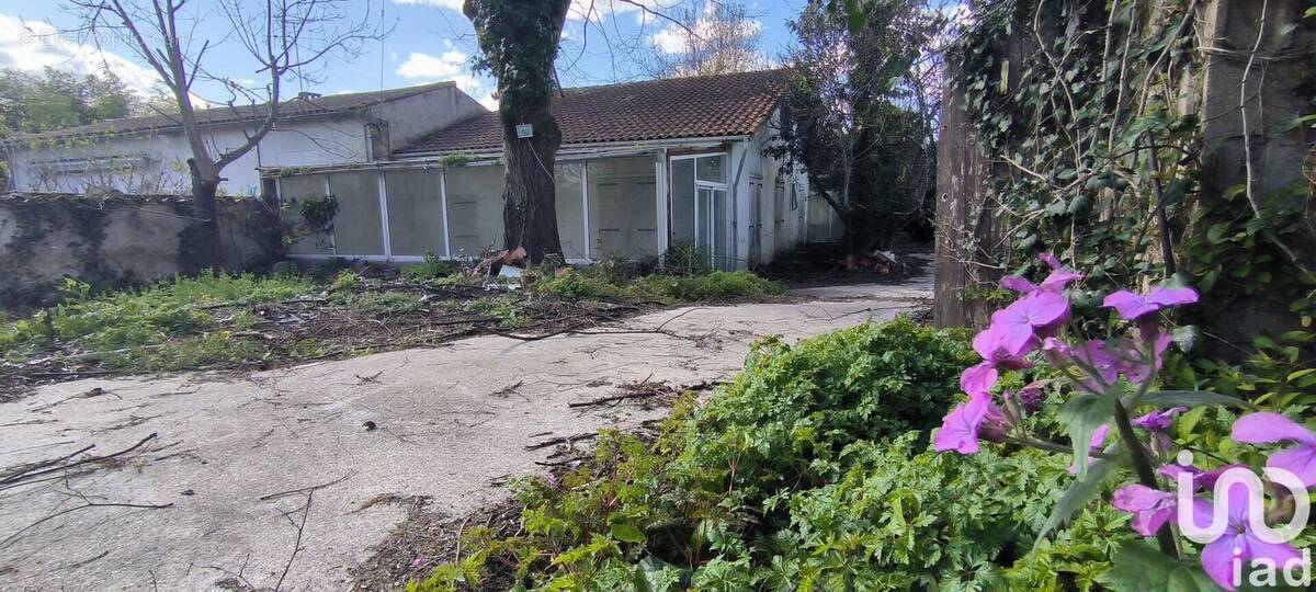 Photo 1 - Maison à COGNAC