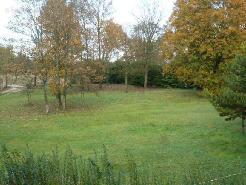 Photo 4 - Terrain à VILLENEUVE-SUR-BELLOT