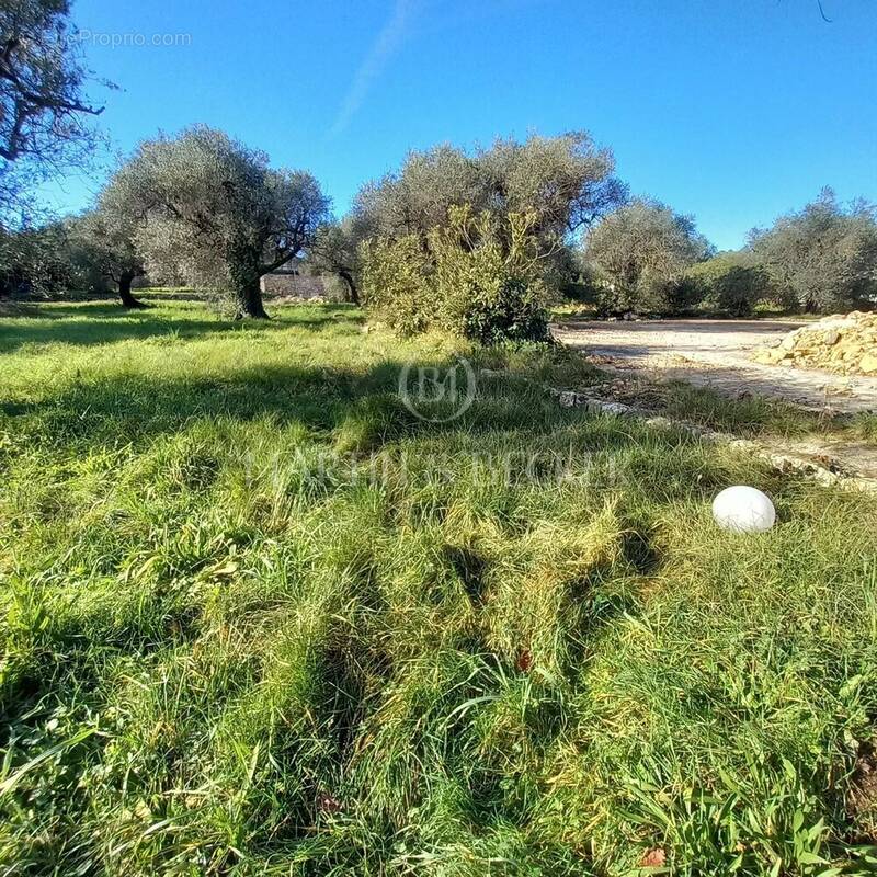 Terrain à OPIO