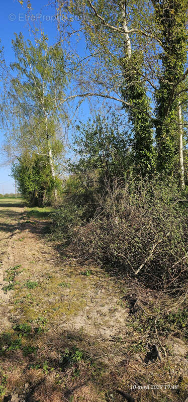 Terrain à EGREVILLE