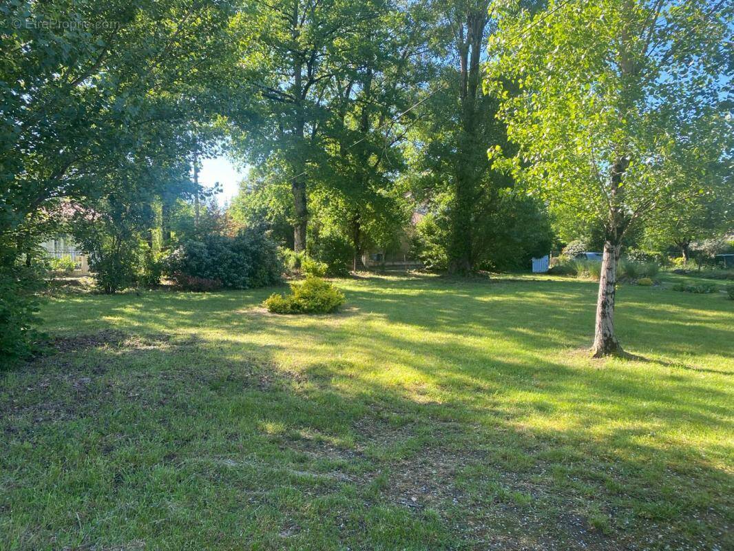 Terrain à SAINT-SULPICE-ET-CAMEYRAC