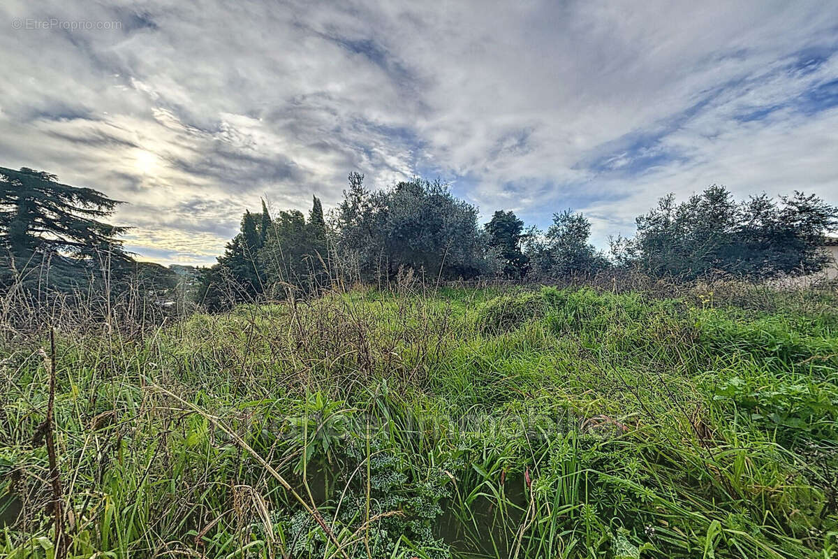 Terrain à MOUGINS