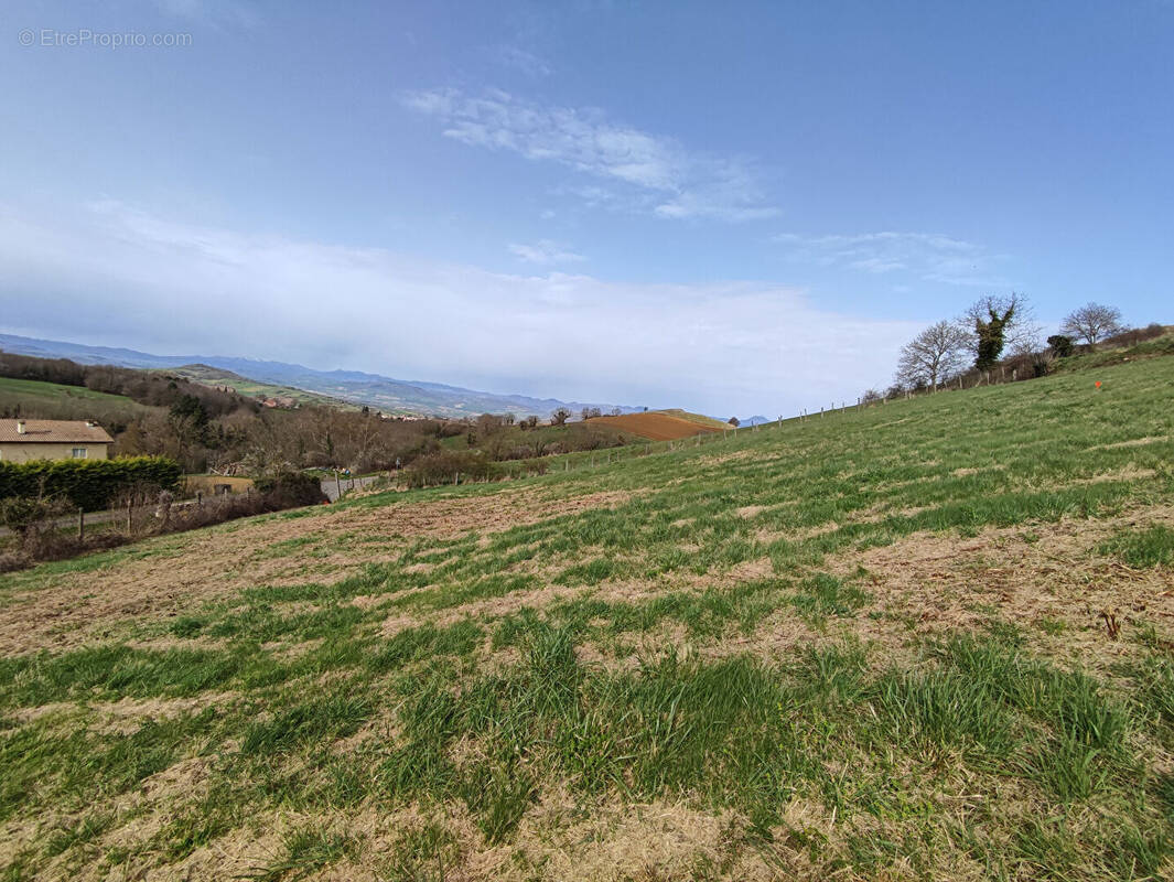 Terrain à PIGNOLS