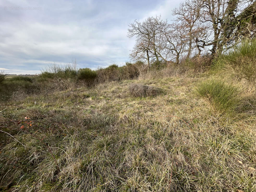 Terrain à AUCH