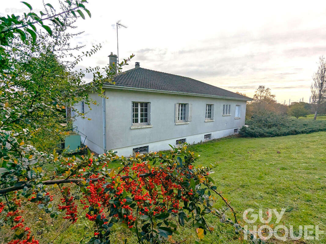 Maison à MIGNE-AUXANCES