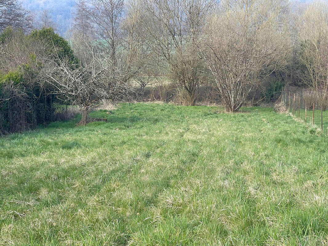 Terrain à COUSANCES-LES-FORGES