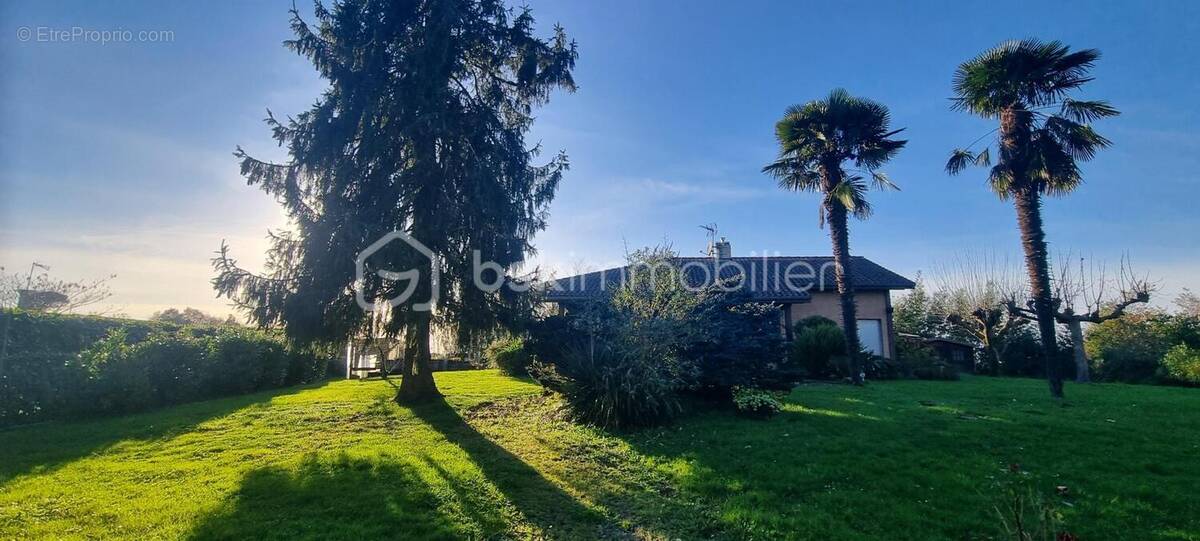 Maison à POUILLON
