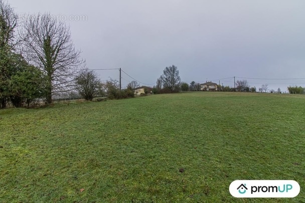 Terrain à THIVIERS