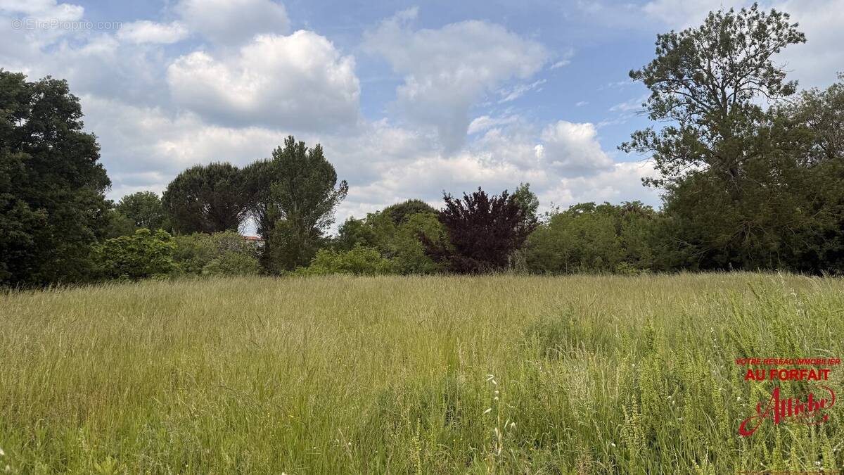 Terrain à CASTELGINEST