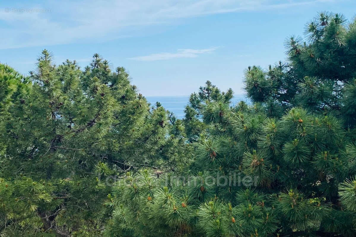 Appartement à BANYULS-SUR-MER