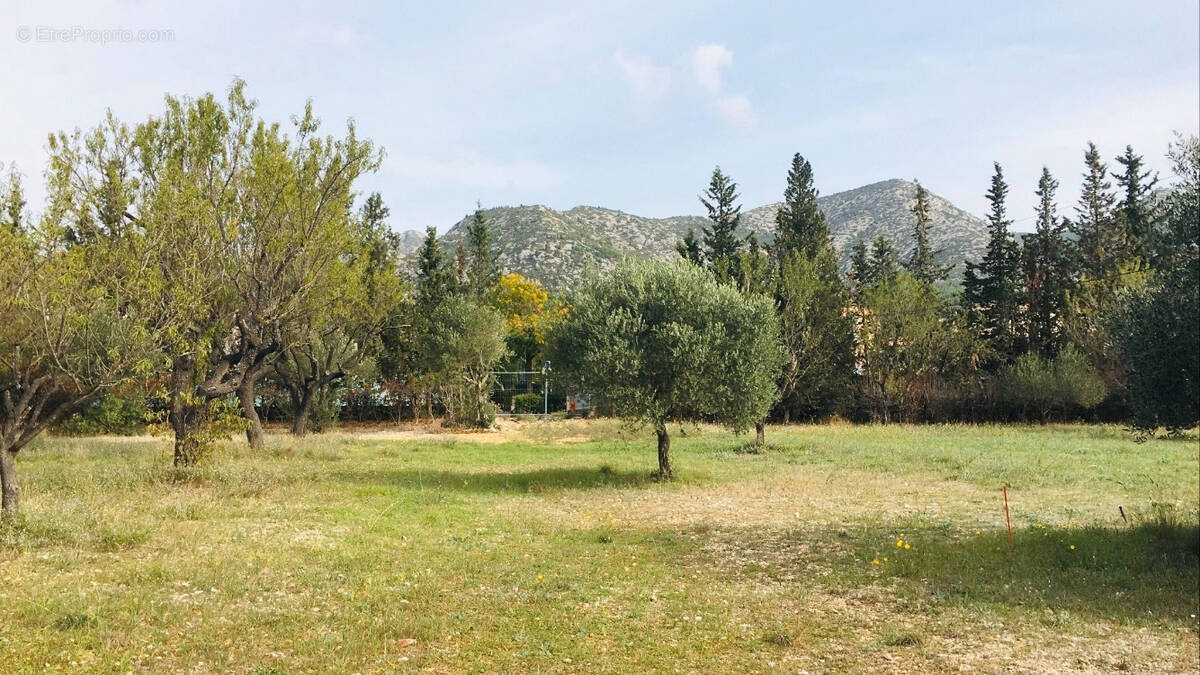 Terrain à GEMENOS