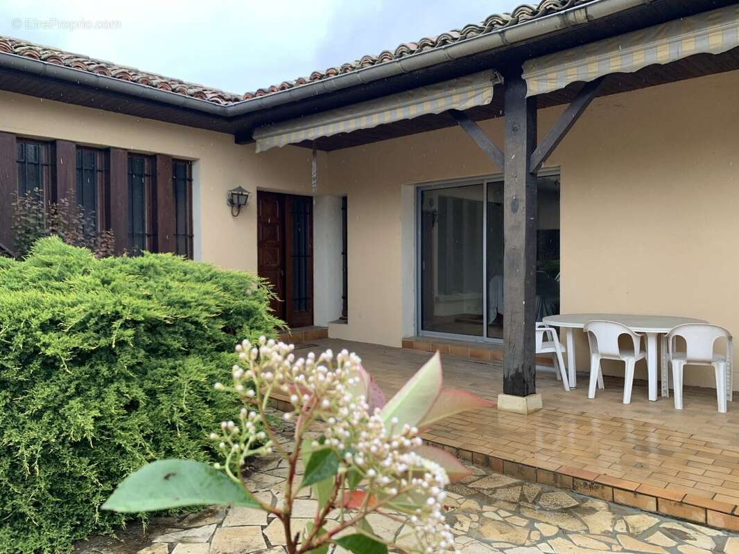 cour et terrasse OUEST - Maison à PAVIE