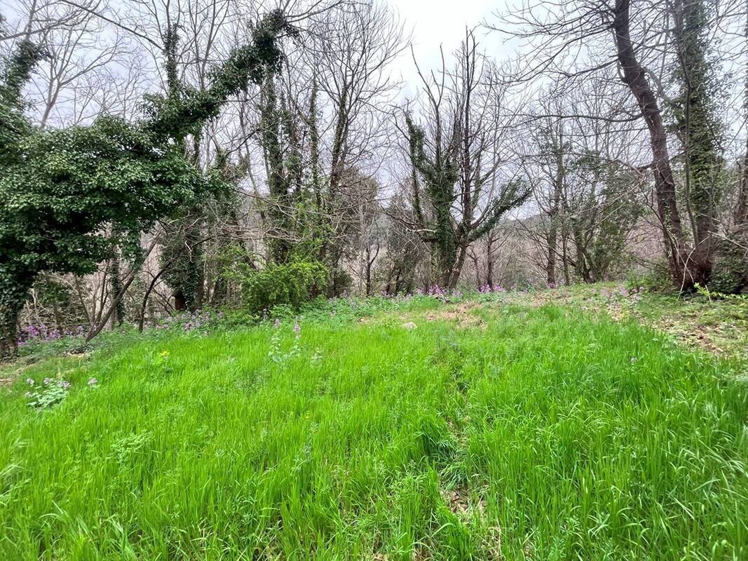 Terrain à MONOBLET