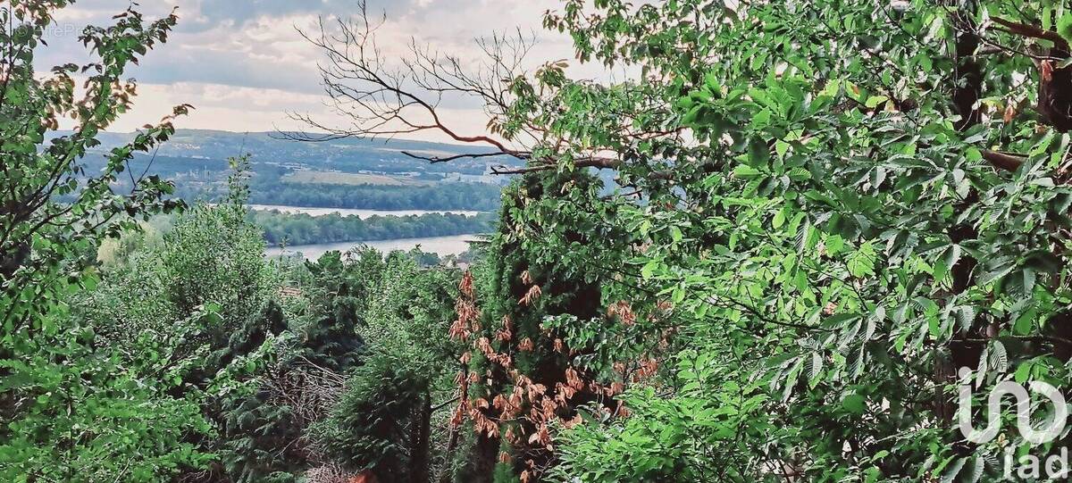 Photo 1 - Terrain à TRIEL-SUR-SEINE