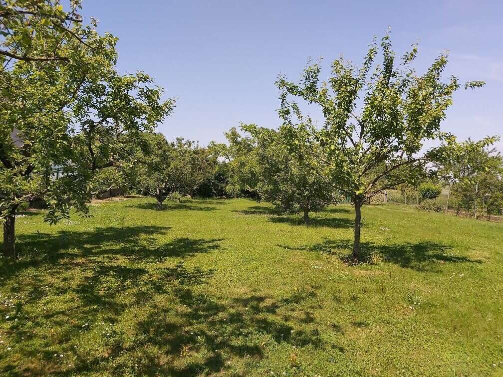 Terrain à EPFIG