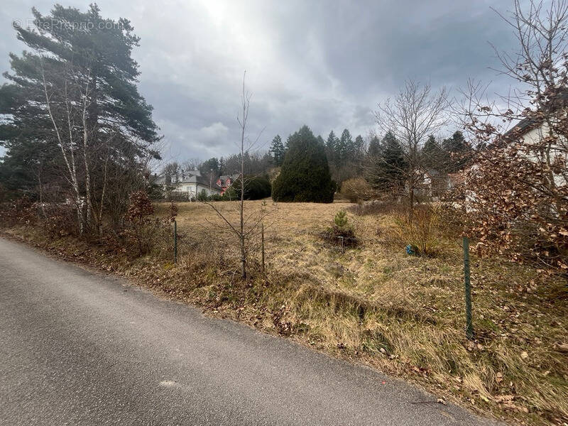 Terrain à OBERHASLACH