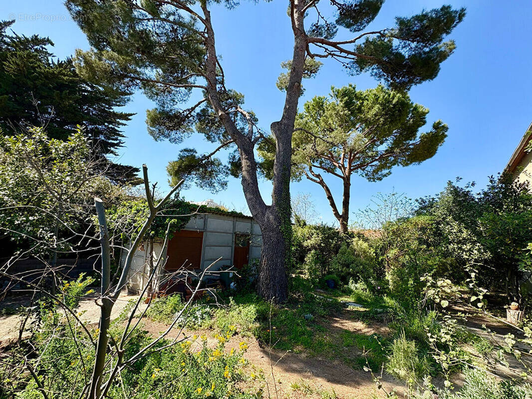 Terrain à SETE