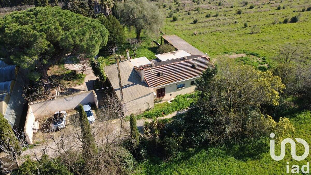 Photo 1 - Maison à TOULOUGES