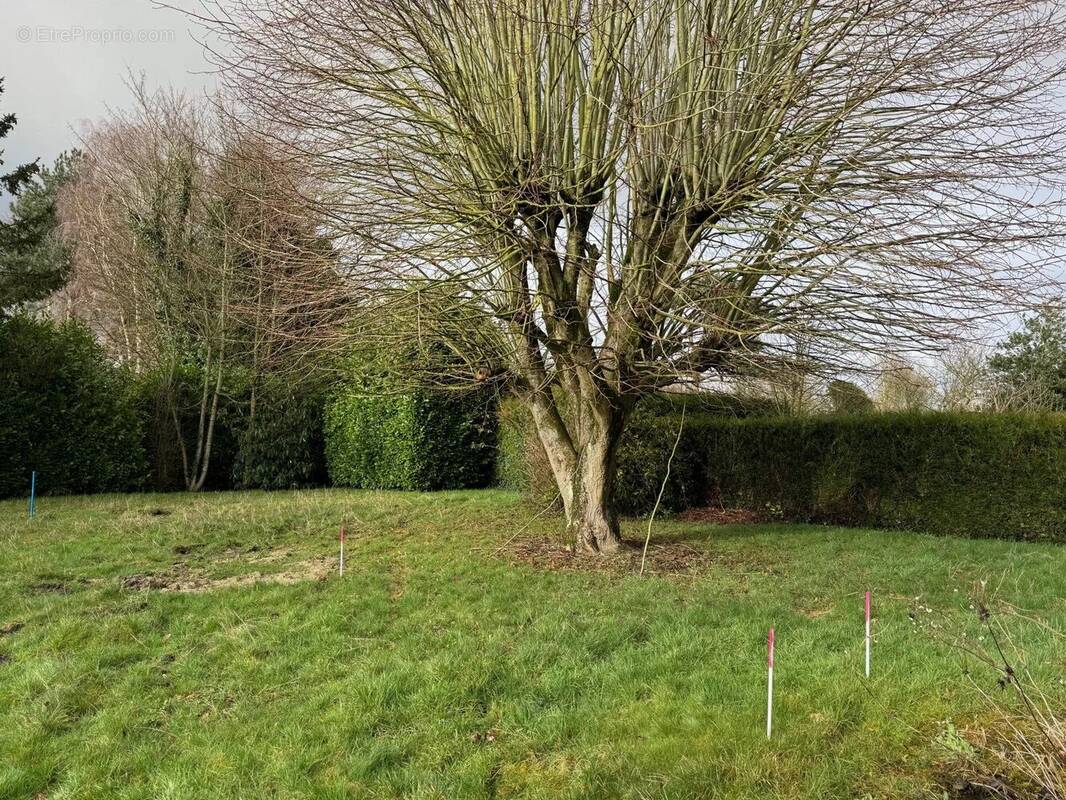 Terrain à BOURGHELLES
