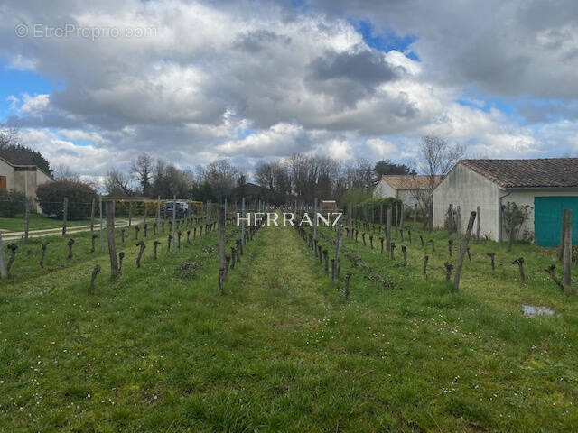 Terrain à PERISSAC