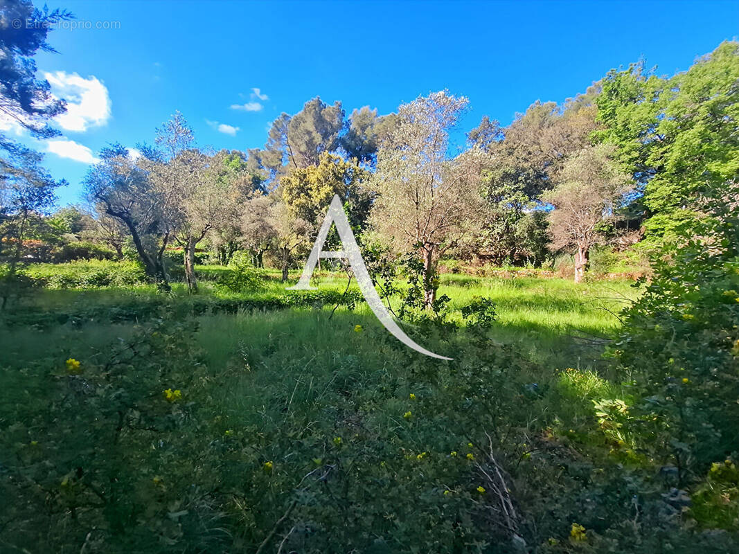 Terrain à OPIO