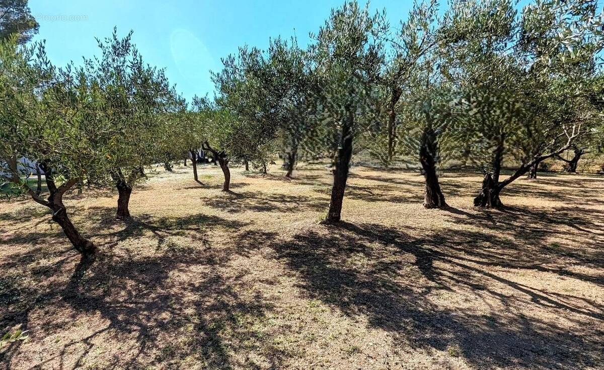 Terrain à LORGUES