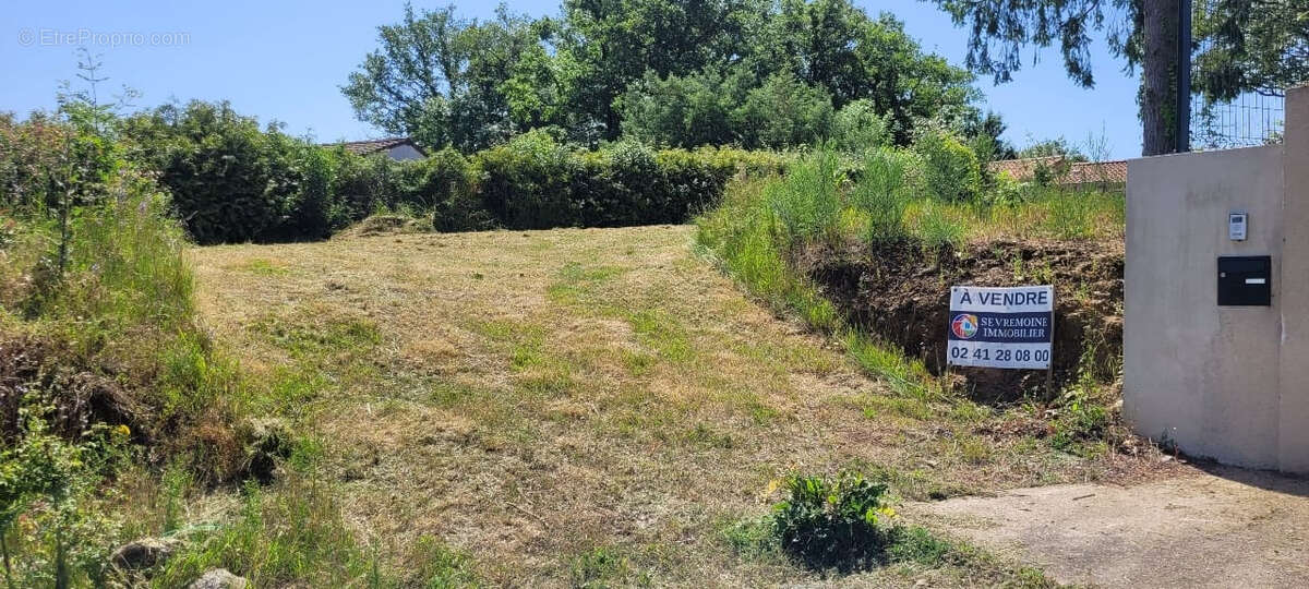 Terrain à LE PALLET