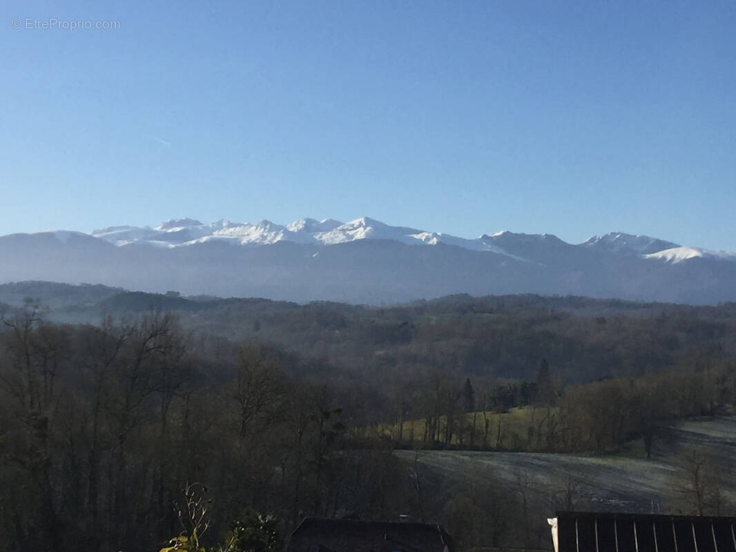 Terrain à LASSEUBE
